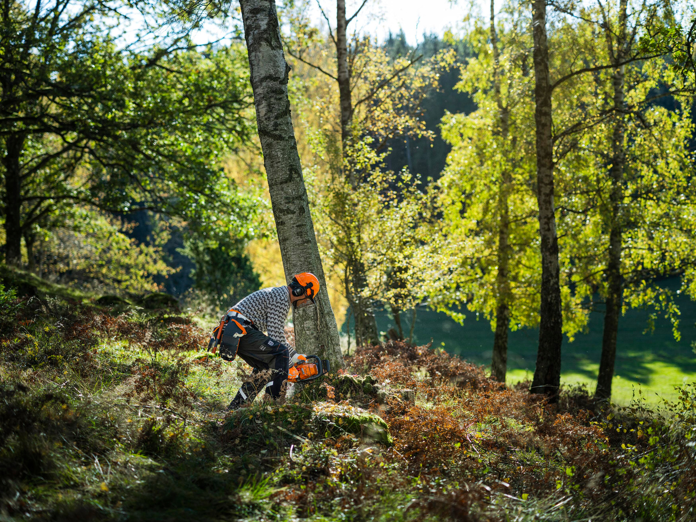Husqvarna Forstarbeiten im Grünen